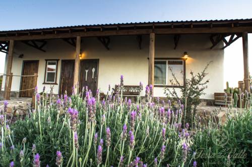 Valle de Guadalupe México codigo de promocion booking.com