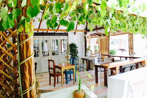 Puerto Morelos Mexico Promo Code Agoda.com