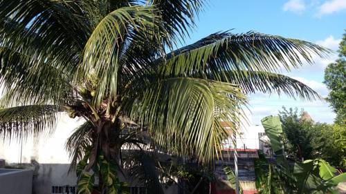 Playa del Carmen Mexico Promo Code Booking.com