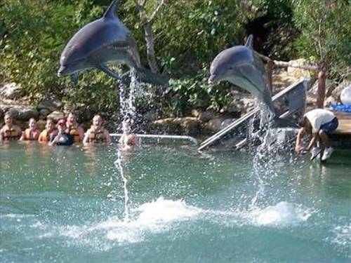 Puerto Aventuras México codigo de promocion booking.com