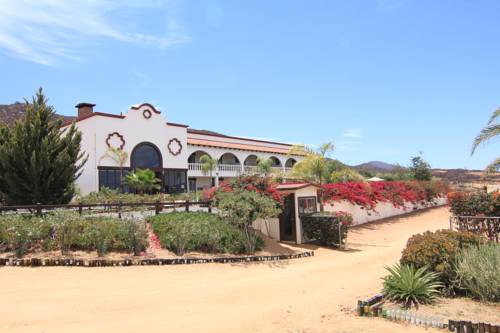 Valle de Guadalupe México codigo de promocion booking.com