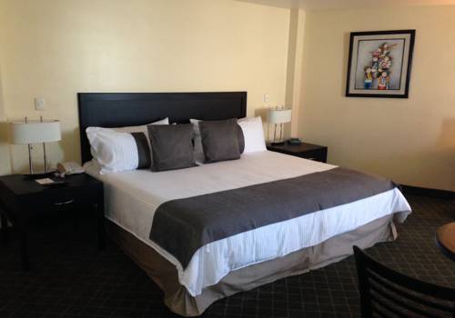 Pachuca México codigo de promocion booking.com