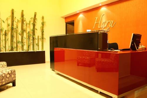 Aguascalientes Mexico Hotel