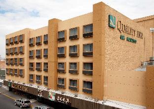 Chihuahua Mexico Promo Code Agoda.com