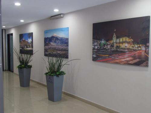 Orizaba Mexico Promo Code Agoda.com