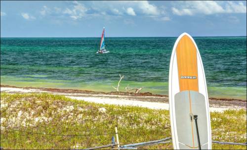 Puerto Morelos M&eacute;xico codigo de promocion booking.com