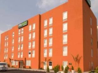 Chihuahua Mexico Promo Code Agoda.com