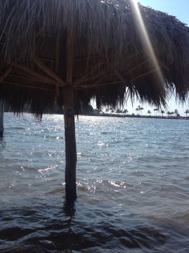 Barra de Navidad México Hotel Código promocional booking.com