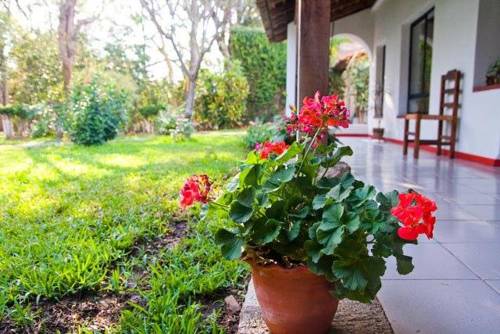 Comala Mexiko Promo-Code Booking.com