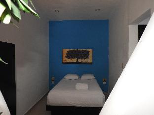 Playa Del Carmen Mexico Hotels