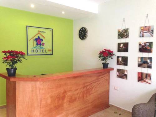 Akumal Mexique code promo Booking.com