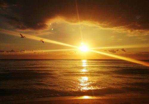 Cancun Mexique code promo Booking.com