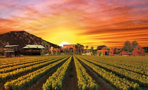 Valle de Guadalupe Mexique code promo Booking.com